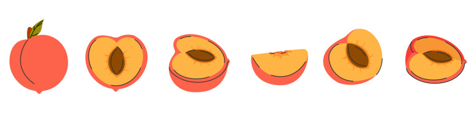 Peach fruit set, whole, half, slice, quarter, segment. Collection of peach fruit in hand drawn doodle style