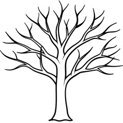 Obraz premium tree without leaves outline coloring book page line art drawing
