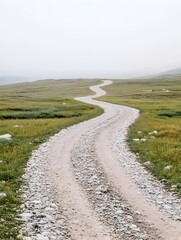 Long Winding Dirt Path Disappearing into Misty Landscape