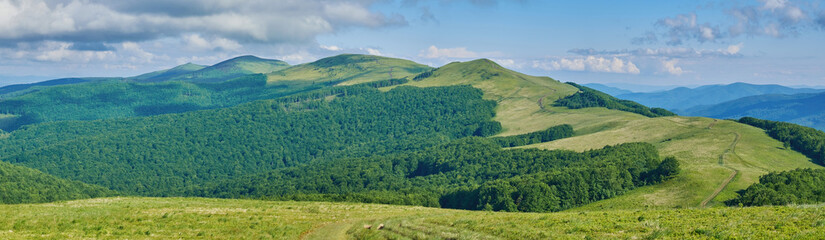 Obraz premium A panoramic view of rolling green hills covered in dense forests and open meadows under a partly cloudy blue sky. Winding trails stretch across the landscape, inviting exploration.