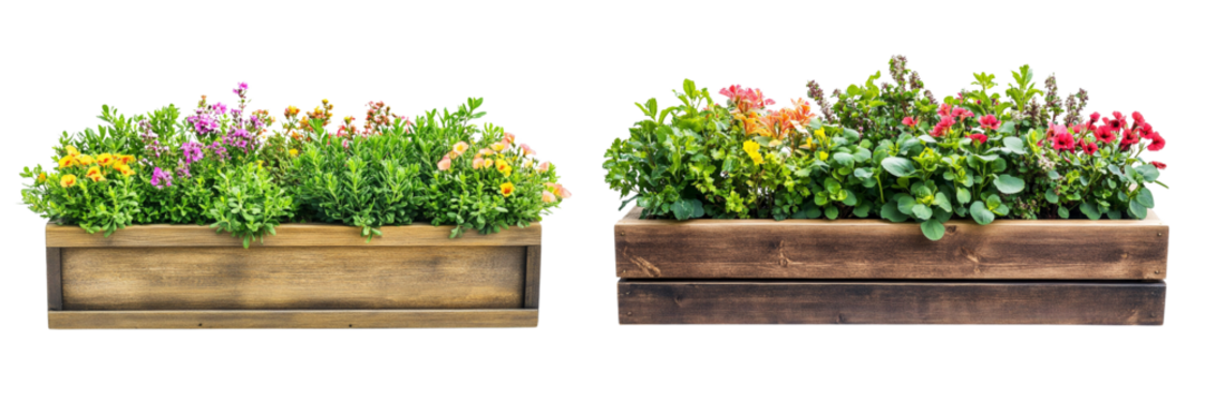 Set of  Wooden planter box with green plants and colorful flowers