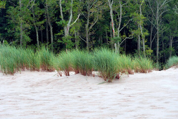 Słowiński Park Narodowy jest położony w środkowej części polskiego wybrzeża. Jest położony w środkowej części polskiego wybrzeża. Charakterystycznym elementem parku jest wydmowy pas mierzei z ruchomym © JDziedzic