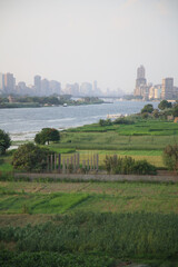The Nile bank in the late afternoon