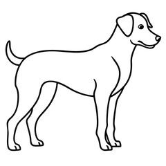 Dog line art silhouette with white background