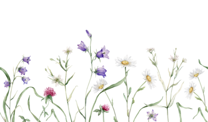 Watercolor floral seamless border of meadow or forest flowers. Hand drawn botanical frame print with meadow flowers: bluebell, clover, chamomile. Repeat banner with leaves and plants.