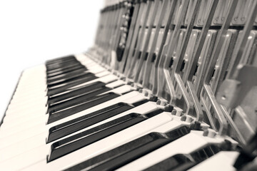 Fototapete bei efototapeten.de bestellen   