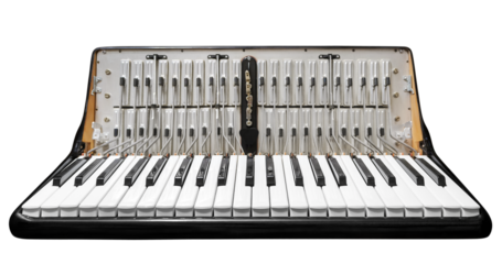 Accordion with front cover removed