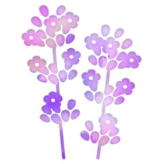 Obraz premium ラベンダー 5月の花 6月の花 水彩画タッチ デザインアイコン 優しい エコロジー シンボル スタンプ