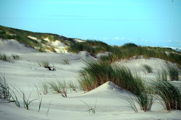 Słowiński Park Narodowy jest położony w środkowej części polskiego wybrzeża. Jest położony w środkowej części polskiego wybrzeża. Charakterystycznym elementem parku jest wydmowy pas mierzei z ruchomym © JDziedzic