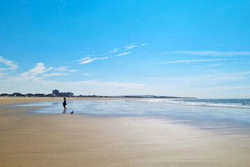 Peaceful Beach Scene with Lone Figure and Dog on a Sunny Day - Ideal for Travel Posters and Summer Designs