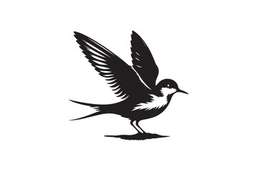 Fototapeta premium Tailor Bird vector art and illustration