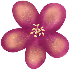 natural cliparts, animals, whale, succulents, cactus, bunnies, treasure box, star fish, star wand and outline elements.