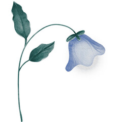 natural cliparts, animals, whale, succulents, cactus, bunnies, treasure box, star fish, star wand and outline elements.