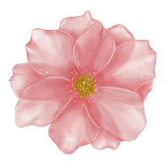 natural cliparts, animals, whale, succulents, cactus, bunnies, treasure box, star fish, star wand and outline elements.