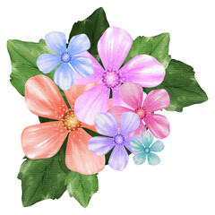 natural cliparts, animals, whale, succulents, cactus, bunnies, treasure box, star fish, star wand and outline elements.