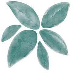 natural cliparts, animals, whale, succulents, cactus, bunnies, treasure box, star fish, star wand and outline elements.