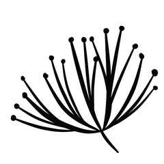 natural cliparts, animals, whale, succulents, cactus, bunnies, treasure box, star fish, star wand and outline elements.