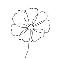 natural cliparts, animals, whale, succulents, cactus, bunnies, treasure box, star fish, star wand and outline elements.