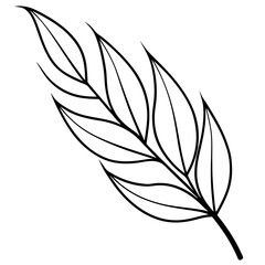 Fototapeta premium willow leaf outline coloring book page line art drawing