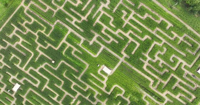 Maze labyrinth in nature. Game and puzzle, creative solution.