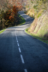 Winding rural road through forest in autumn with cloudy sky