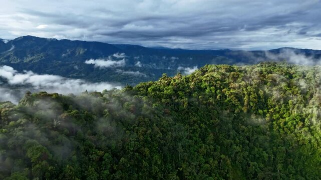 Aerial hyperlapse pan of stunning beautiful cloud mist rising above tropical cloud forest in Mindo Ecuador as sunlight glistens on mountains