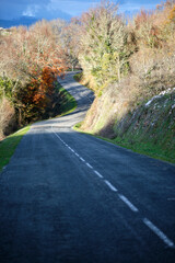 Fototapeta premium Winding rural road through forest in autumn with cloudy sky