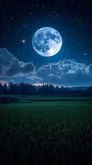 Fototapeta premium A full moon hangs over a field of grass, its light illuminating the clouds and casting long shadows on the ground.