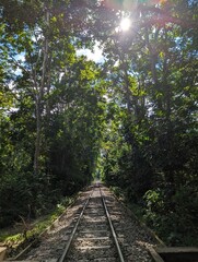 The rail line in the forest, Entrance alley to the Lawachara national park near Sreemangal, Bangladesh