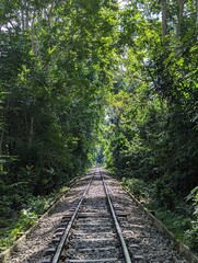 The rail line in the forest, Entrance alley to the Lawachara national park near Sreemangal, Bangladesh