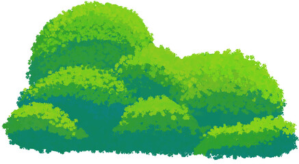 Shrub Illustration