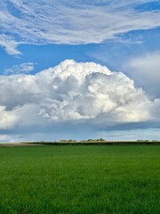 nuage cumulus