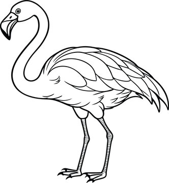 recommend clip art: flamingo line art vector illustration silhouette, Print