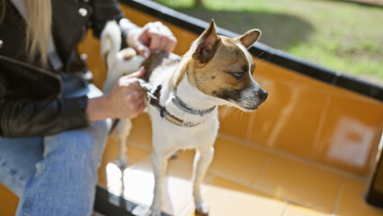 A young woman in casual attire adjusts the harness of her attentive dog while sitting on a park bench outdoors.