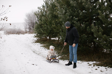A father is pulling his child on a sled along a snowy path lined with tall evergreen trees. The...