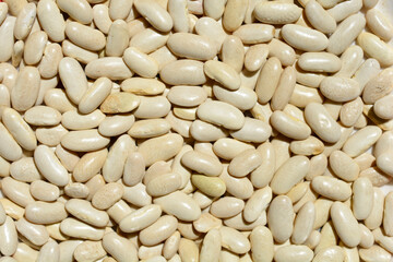 Detail of a surface covered with dry uncooked white beans