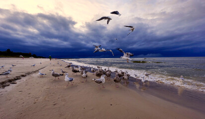 Spacerując wieczorem nad brzegiem morza spotykamy turystów, ptaki i jestesmy światkami pięknych zachodów słońca © JDziedzic