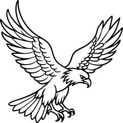 Fototapeta premium eagle flying bird line art vector illustration silhouette, Print