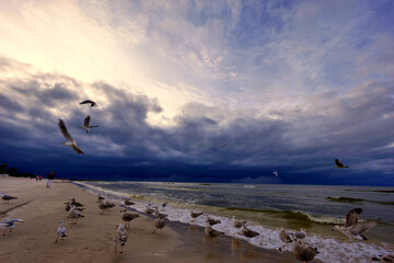 Spacerując wieczorem nad brzegiem morza spotykamy turystów, ptaki i jestesmy światkami pięknych zachodów słońca