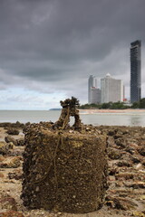 an old stone anchor covered with shells at low tide on a blurred background with skyscrapers
