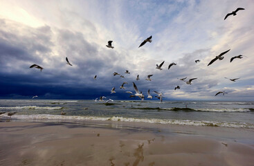 Spacerując wieczorem nad brzegiem morza spotykamy turystów, ptaki i jestesmy światkami pięknych zachodów słońca © JDziedzic