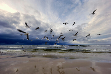 Spacerując wieczorem nad brzegiem morza spotykamy turystów, ptaki i jestesmy światkami pięknych zachodów słońca © JDziedzic