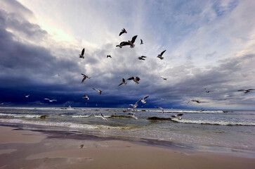 Spacerując wieczorem nad brzegiem morza spotykamy turystów, ptaki i jestesmy światkami pięknych zachodów słońca © JDziedzic