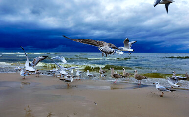 Spacerując wieczorem nad brzegiem morza spotykamy turystów, ptaki i jestesmy światkami pięknych zachodów słońca © JDziedzic