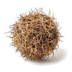 Dry Tumbleweed Ball isolated on white