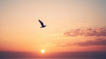Fototapeta premium A peaceful sky at dawn, with a single bird flying across the horizon as the sun begins to rise