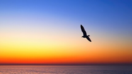 Fototapeta premium A peaceful sky at dawn, with a single bird flying across the horizon as the sun begins to rise