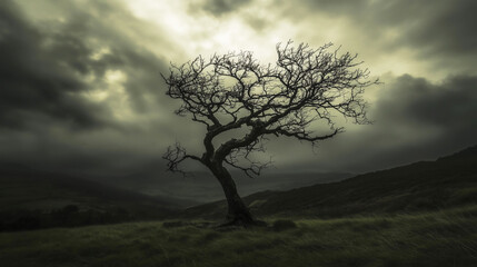 A gnarled tree, with no leaves and twisted branches, dark clouds overhead. There is a sense of solitude or melancholy about the scene. 