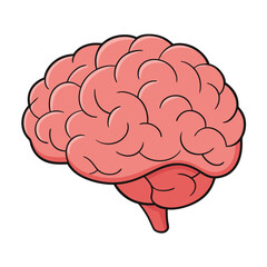 Simplified Human Brain Vector with Bold Outlines and Pink Tones.
