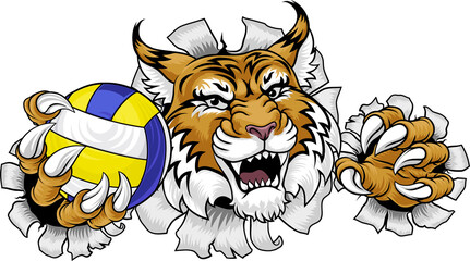Wildcat Cougar Lynx Lion Volleyball Claw Mascot